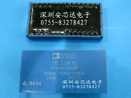 1B31AN
