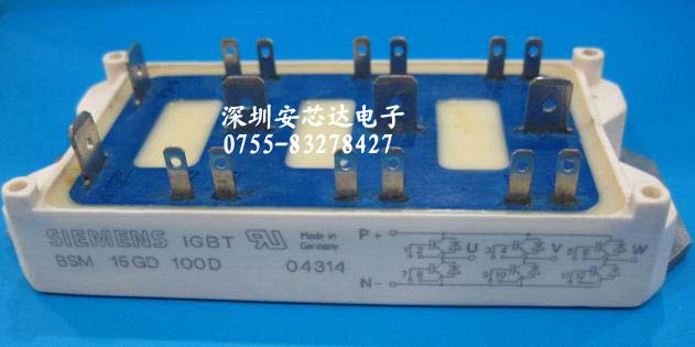 BSM15GD100D