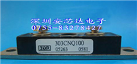 303CNQ100的图片