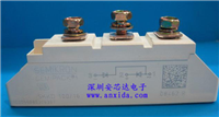 SKKD100/04的图片